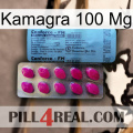 Kamagra100 Mg 35